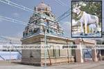 ஆல்கொண்டமால் திருவிழா: 16 முதல் கோலாகலம்!