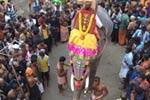 சபரிமலையில் மாளிகைப்புறம் எழுந்தருளல்!
