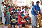 பொள்ளாச்சியில் பொங்கலோ பொங்கல்!