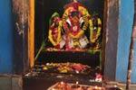 ஆருத்ர கபாலீஸ்வரர் கோவிலில் சூரியனுக்கு சிறப்பு பூஜை!