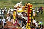 திருவந்திபுரம் தேவநாத சுவாமி மஞ்சு விரட்டும் உற்சவம்!