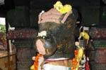 விருத்தகிரீஸ்வரர் கோவிலில் நந்தி பகவானுக்கு சிறப்பு பூஜை!