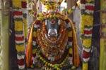 வீரட்டானேஸ்வரர் கோவிலில்  நந்திகேஸ்வரருக்கு சிறப்பு வழிபாடு!