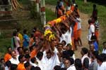 மாசாணியம்மன் கோவிலுக்கு கொடிமரம் வருகை!