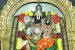 பெருமாள் கோவிலில் சிறப்பு திருமஞ்சனம்!