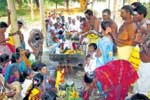 ஜம்புலிங்கேஸ்வரர் கோவிலில் பிரதோஷ வழிபாடு!