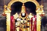 திருமலையில் ரதசப்தமி: அனைத்து சேவைகளும் ரத்து!