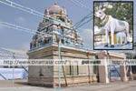 ஆல்கொண்டமால் திருவிழாவில் வாண வேடிக்கை கோலாகலம்