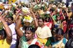 ஆலடி மாரியம்மனுக்கு 108 பால்குட அபிஷேகம்!