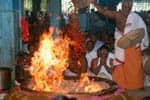 அய்யாவாடி பிரத்தியங்கிரா கோயிலில் நிகும்பலா யாகம் !