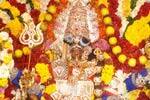 மேல்மலையனூர் அங்காளம்மன் ஊஞ்சல் உற்சவம்!
