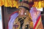 காஞ்சி வரதராஜ பெருமாள் வனபோஜன உற்சவம்