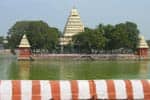 மதுரை மீனாட்சி தெப்பத்திருவிழா: வெளிநாட்டினர் பார்வையிட சிறப்பு ஏற்பாடுகள்!