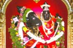 லட்சுமி வராஹப் பெருமாள் கோயில் வருஷாபிஷேக திருமஞ்சனம்!