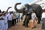 மணக்குள விநாயகர் கோவில் யானை லட்சுமிக்கு சிறப்பான வரவேற்பு!