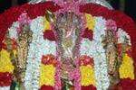 மயிலம் முருகன் கோவிலில் தை கிருத்திகை விழா!