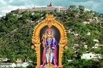பழநி தைப்பூசம் இரண்டாம் நாள்!