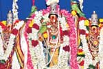 தைப்பூசவிழா திருக்கல்யாணம்; ஏராளமான பக்தர்கள் பங்கேற்பு!