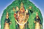 திருச்செந்தூர் முருகன் கோயிலில் தைப்பூச திருவிழா: குவியும் பக்தர்கள்!