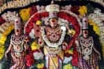 பழநியில் தைப்பூச தேரோட்டம்!