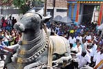 7 டன் எடையுள்ள மகா நந்தி சிலை: சிவசைலநாதர் கோவிலில் பிரதிஷ்டை!