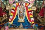திருவதிகை சரநாராயண பெருமாள் சிறப்பு அலங்காரத்தில் அருள்பாலிப்பு!