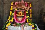 திருப்பூர் மகா சிவராத்திரி விழா: பக்தர்கள் தரிசனம்!