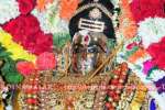 காளஹஸ்தியில் திருக்கல்யாண உற்சவம்!