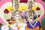 அங்காள பரமேஸ்வரிக்கு திருக்கல்யாண உற்சவம்!