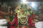 திருத்தணி முருகன் கோவிலில் மாசி மக சிறப்பு வழிபாடு!