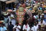 சமயபுரம் மாரியம்மன் கோவில் பூச்சொரிதல் விழா துவக்கம்!