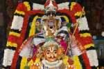 பண்ருட்டி வரதராஜ பெருமாள் கோவிலில் தீர்த்தவாரி!
