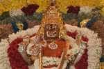 பொள்ளாச்சி மாரியம்மன் கோவில் தேரோட்டம்!