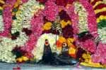 நஞ்சுண்ட ஈஸ்வரர் கோவில் பங்குனி திருவிழா: காத்திருந்து பக்தர்கள் தரிசனம்!