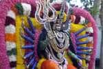 விளங்கம்பாடி அங்காளம்மன் கோவிலில் மயானக் கொள்ளை!