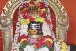 பாலமுகலேஷ்வரருக்கு பிரதோஷ வழிபாடு!