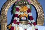 ஒரேநாளில் பிரதோஷம், சிவராத்திரி கோயில்களில் வழிபாடு!