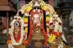 பண்ருட்டி வரதராஜபெருமாள் கோவிலில் சிறப்பு பூஜை!