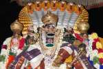 கோதண்டராமர் சுவாமி சேஷ வாகனத்தில் புறப்பாடு!