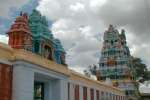 திருப்புவனம் புஷ்பவனேஸ்வரர் கோயில் பங்குனி திருவிழா