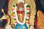பழநிகோயிலில் கார்த்திகை பெருவிழா!