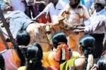 சிவசைலநாதர் கோவிலில் கும்பாபிஷேக பூஜை துவக்கம்