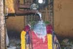 கொளஞ்சியப்பர் கோவில் பங்குனி உத்திர விழா: ஆயிரக்கணக்கானோர் தரிசனம்!