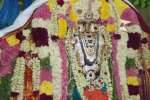 மந்தாரக்குப்பம் பாலமுருகன் சுவாமிக்கு திருக்கல்யாண உற்சவம்