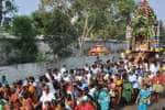 கரூர் ஈஸ்வரன் கோவில் தேரோட்டம் ஆயிரக்கணக்கான பக்தர்கள் பங்கேற்பு