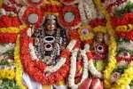 கைலாசநாதர் கோவில் பங்குனி தேர் திருவிழா கோலாகலம்!