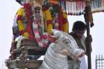 வெள்ளி இடப வாகனத்தில் சந்திரசேகர் பவனி!