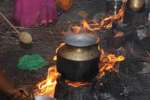 விருதுநகர் மாரியம்மன் கோயில் பொங்கல் விழா