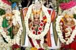 சுப்பிரமணிய சுவாமி கோயிலில் திருக்கல்யாணம்!