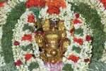 நார்த்தாமலை முத்துமாரியம்மன் தேர் திருவிழா கோலாகலம்!